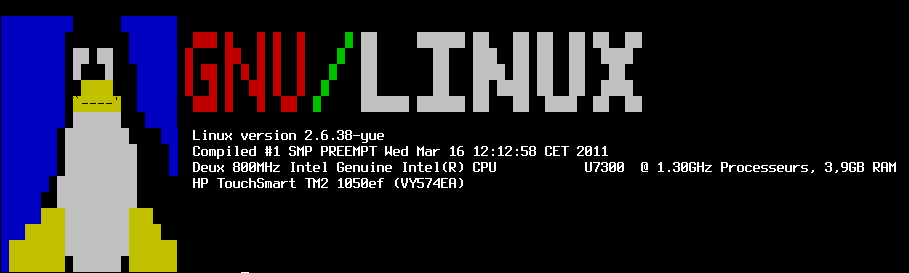 Logo GNU/Linux obtenu avec linux_logo