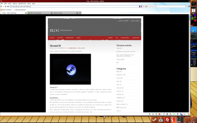 Capture d'écran montrant le blog.