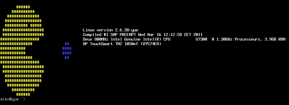 Une partie d'un niveau de Pacman obtenu avec linux_logo